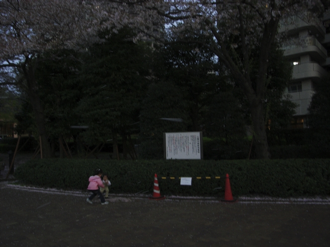 _0010087.jpg