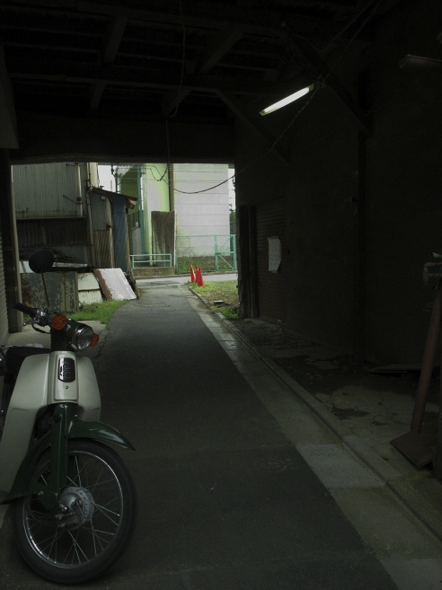 _0010209.jpg