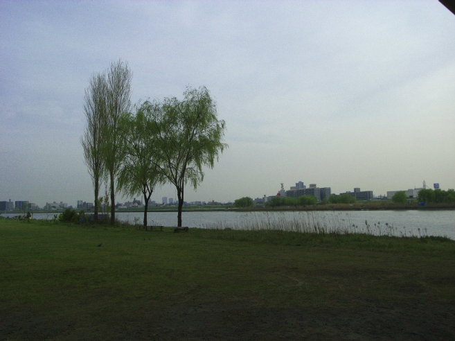 _0010224.jpg
