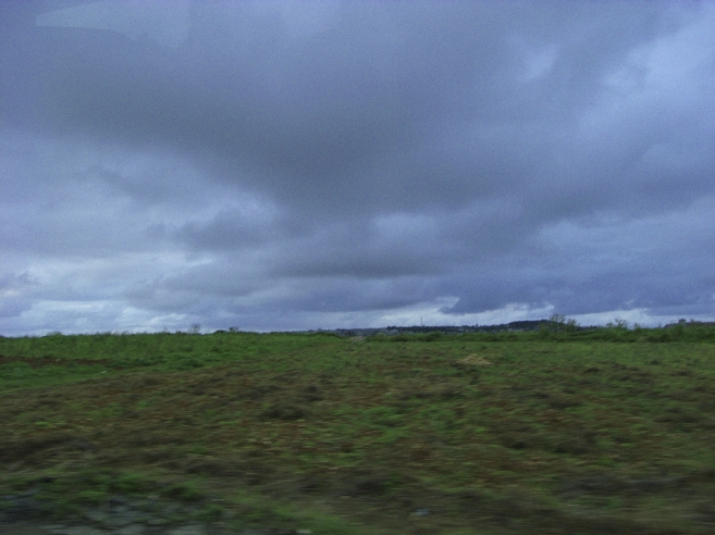 _0010445.jpg