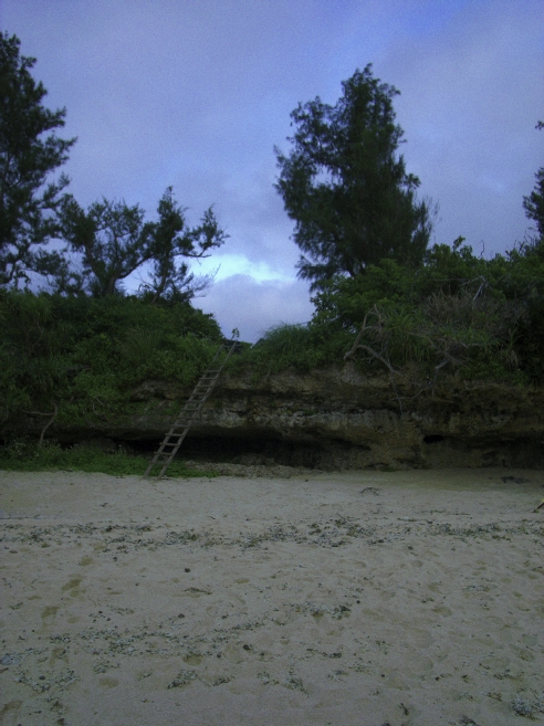 _0010459.jpg