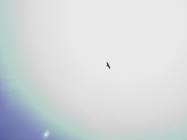 _0010599.jpg