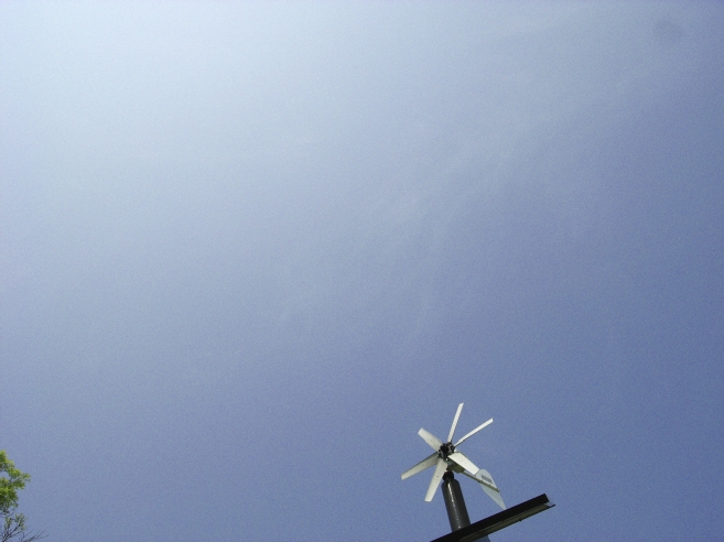 _0010601.jpg