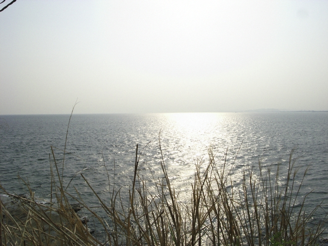 _0010610.jpg