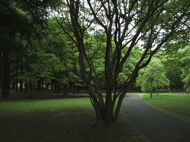 _0010804.jpg