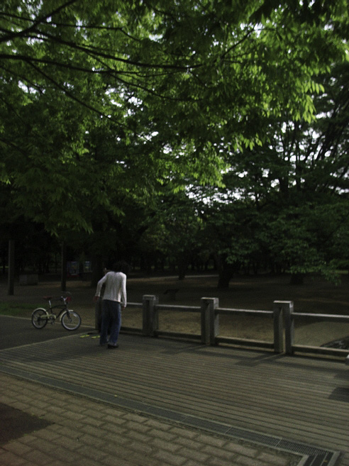 _0010815.jpg