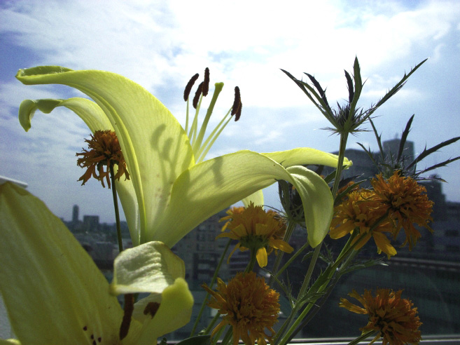 _0011005.jpg
