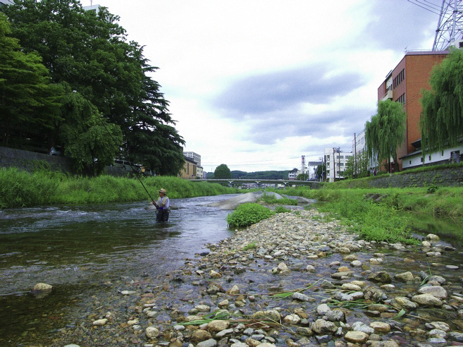 _0011053.jpg