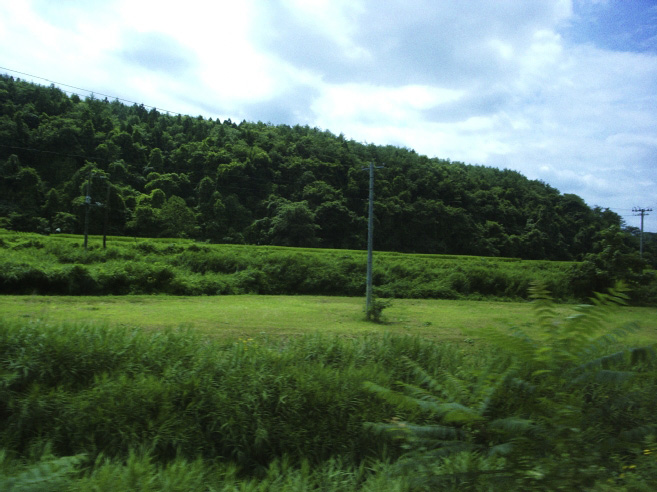 _0011061.jpg
