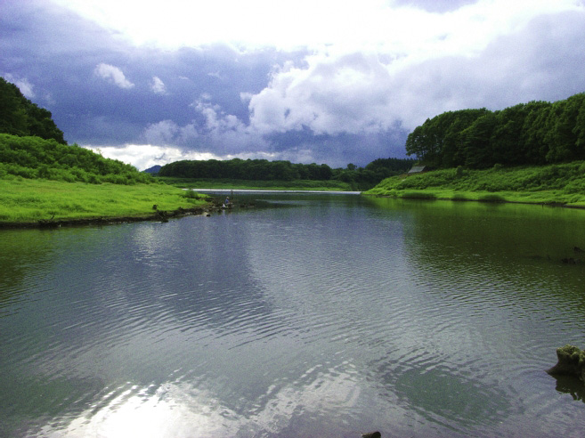 _0011086.jpg