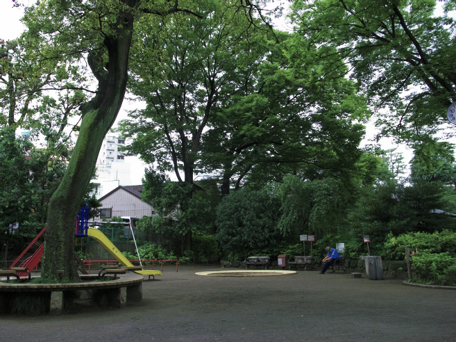 _0011134.jpg