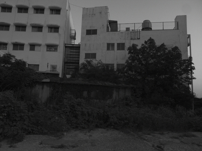 _0011145.jpg