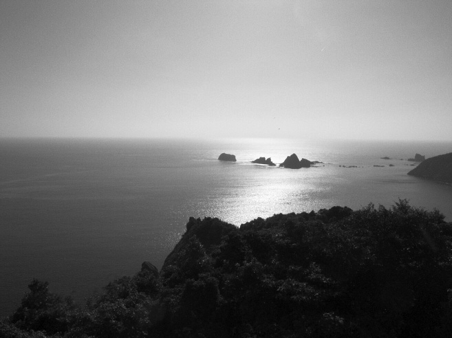 _0011295.jpg