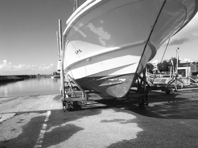 _0011336.jpg