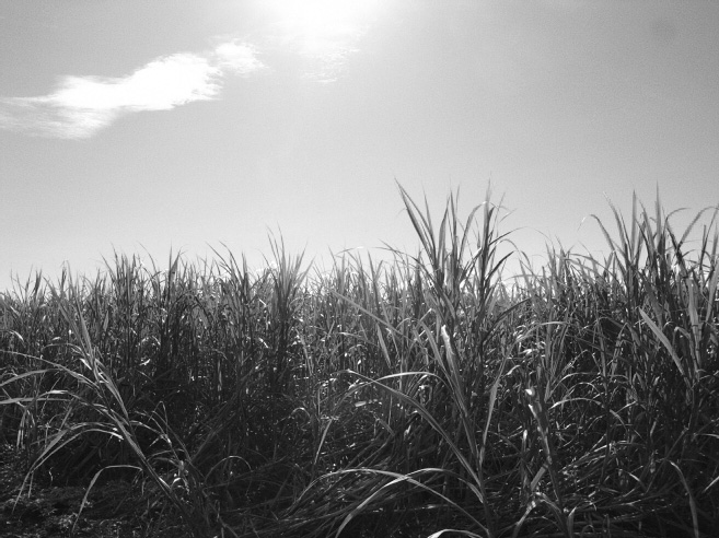 _0011342.jpg