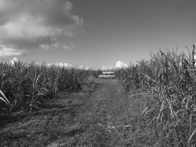_0011344.jpg
