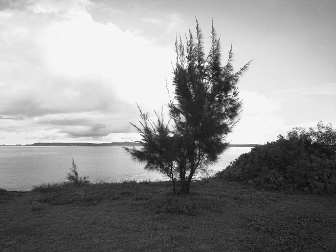 _0011354.jpg