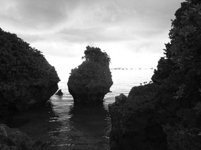 _0011375.jpg