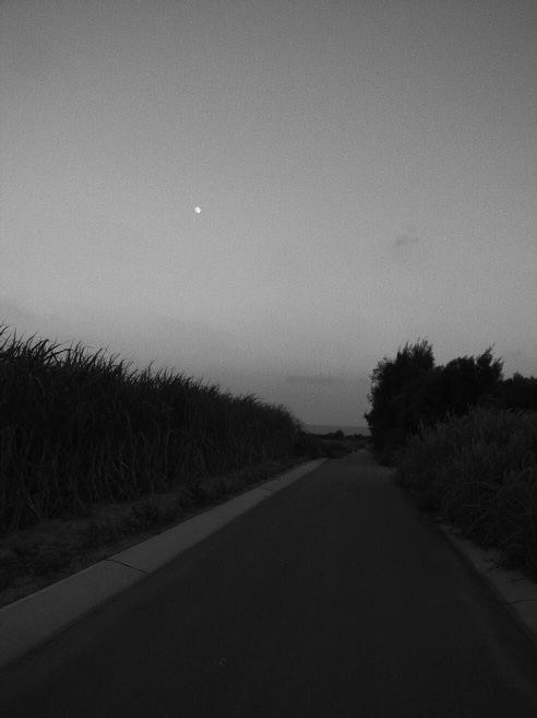 _0011413.jpg