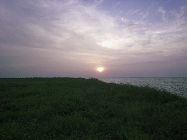 _0011421.jpg