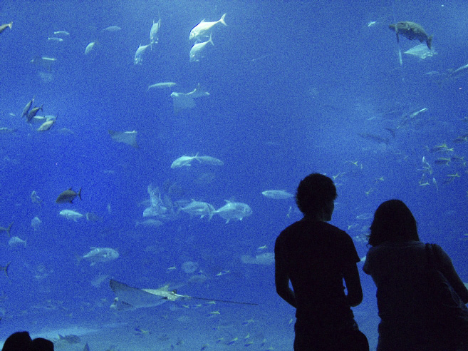 _0011540.jpg