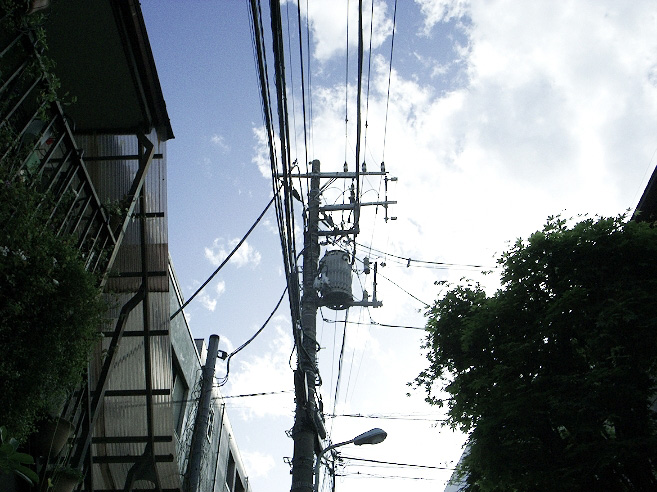 _0011622.jpg