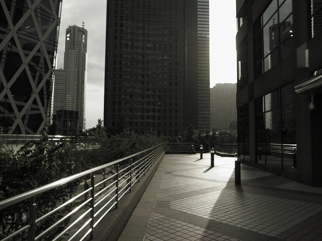_0011646.jpg