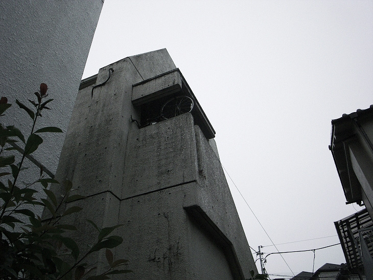 _0011699.jpg