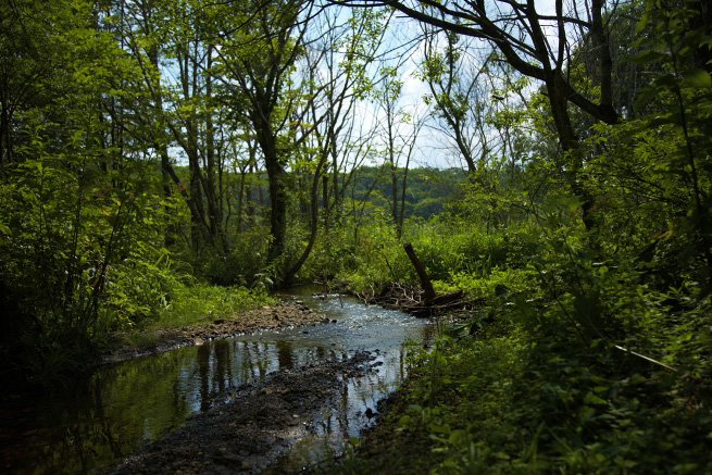 _MG_0761.jpg