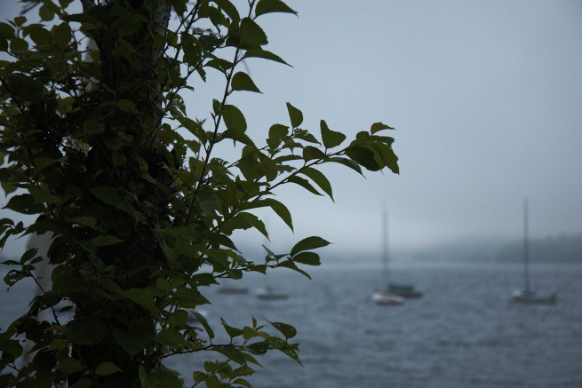 _MG_0863.jpg