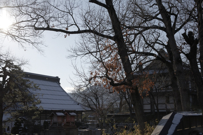 _MG_2728.jpg