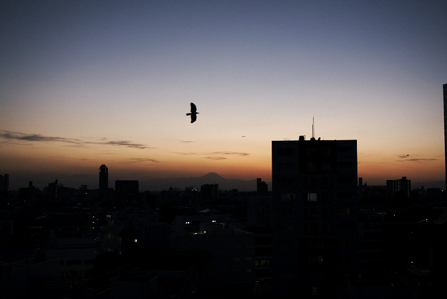 _MG_3248.jpg