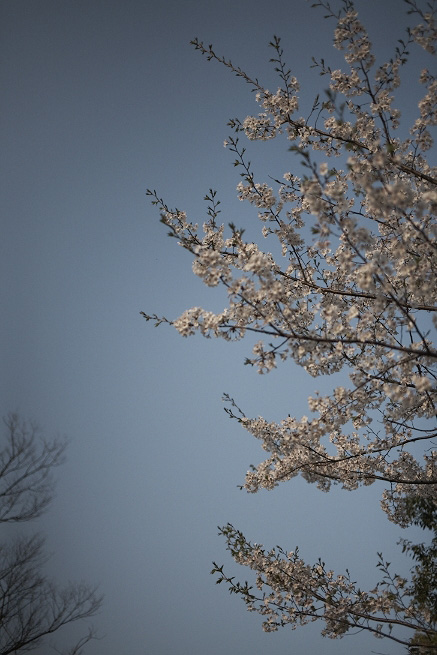 _MG_3988.jpg