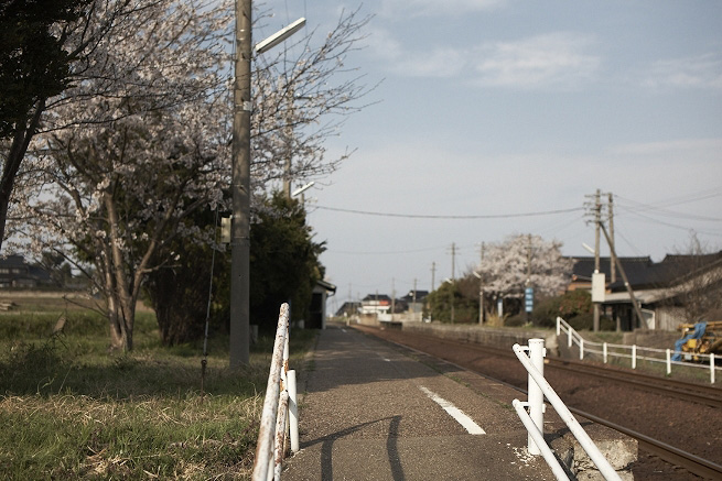 _MG_4014.jpg