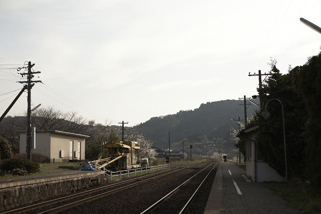 _MG_4024.jpg