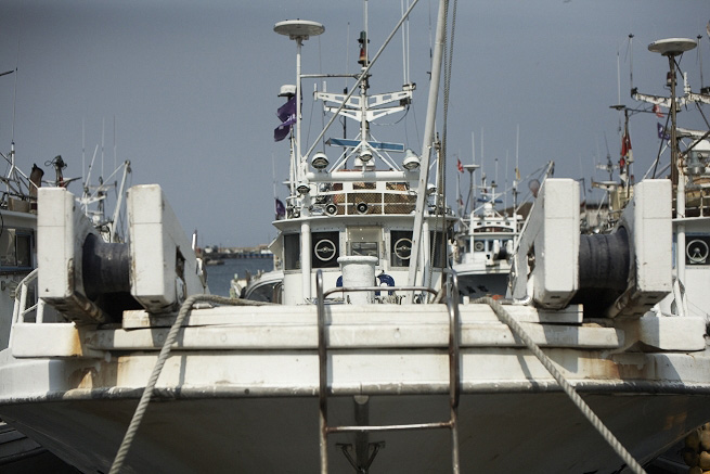 _MG_4060.jpg