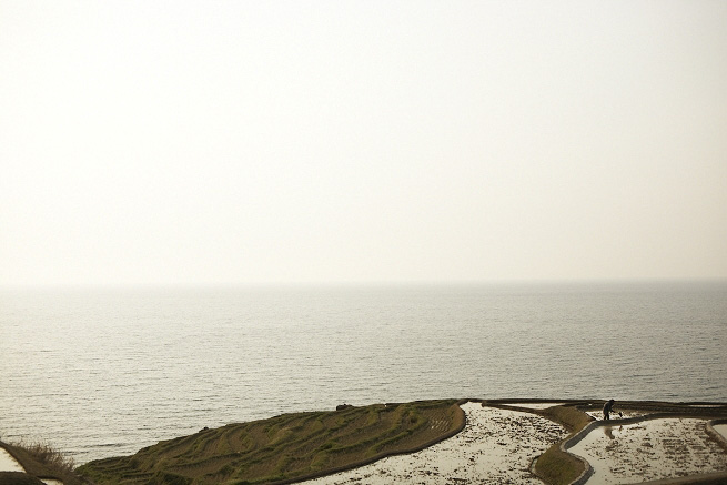 _MG_4088.jpg