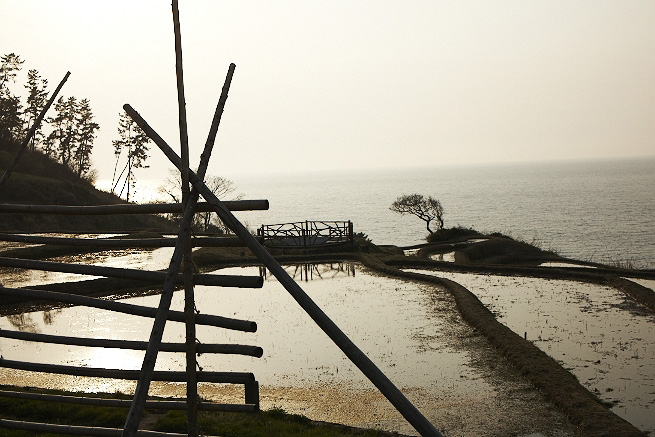 _MG_4095.jpg