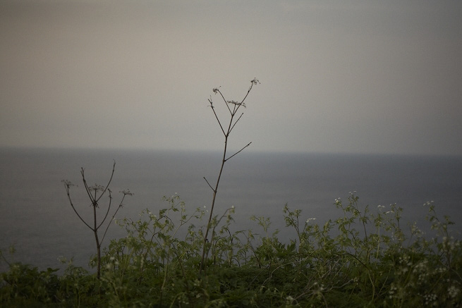 _MG_4108.jpg
