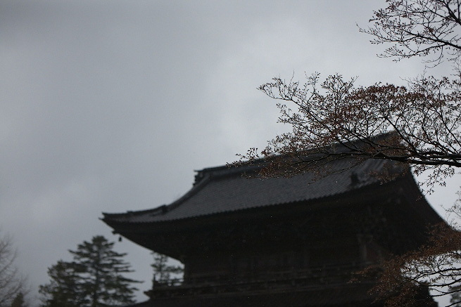 _MG_4184.jpg