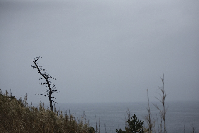 _MG_4194.jpg