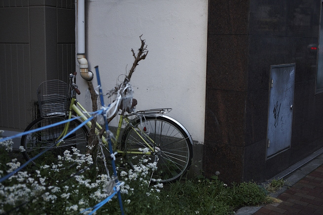 _MG_4347.jpg