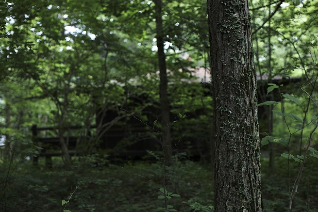 _MG_4423.jpg