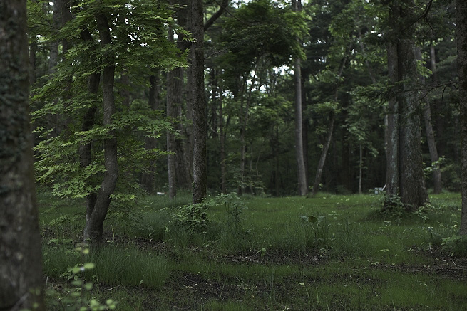 _MG_4434.jpg