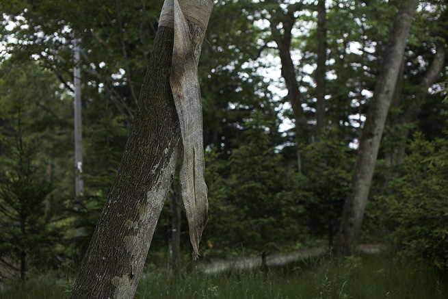 _MG_4436.jpg