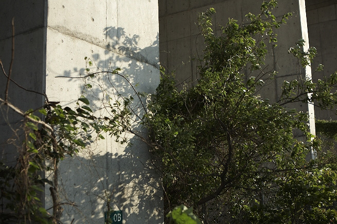 _MG_4449.jpg