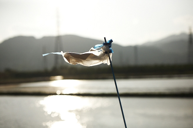 _MG_4452.jpg