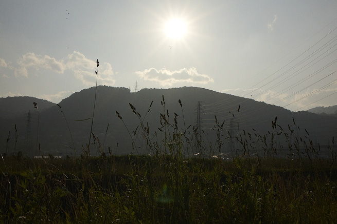 _MG_4467.jpg