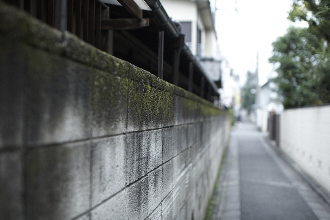 _MG_4639.jpg