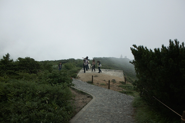 _MG_4654.jpg